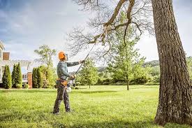 Reliable Hershey, PA  Tree Services Solutions